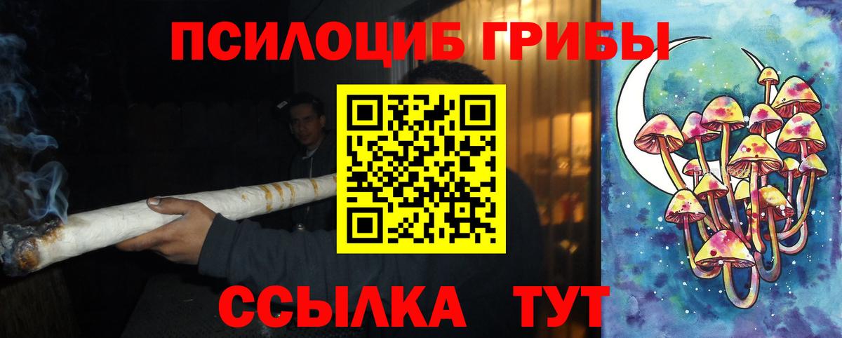 Галлюциногенные грибы мицелий Гусев