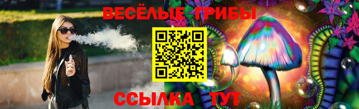 Гусев  Псилоцибиновые грибы мухоморы  Вход с VPN 